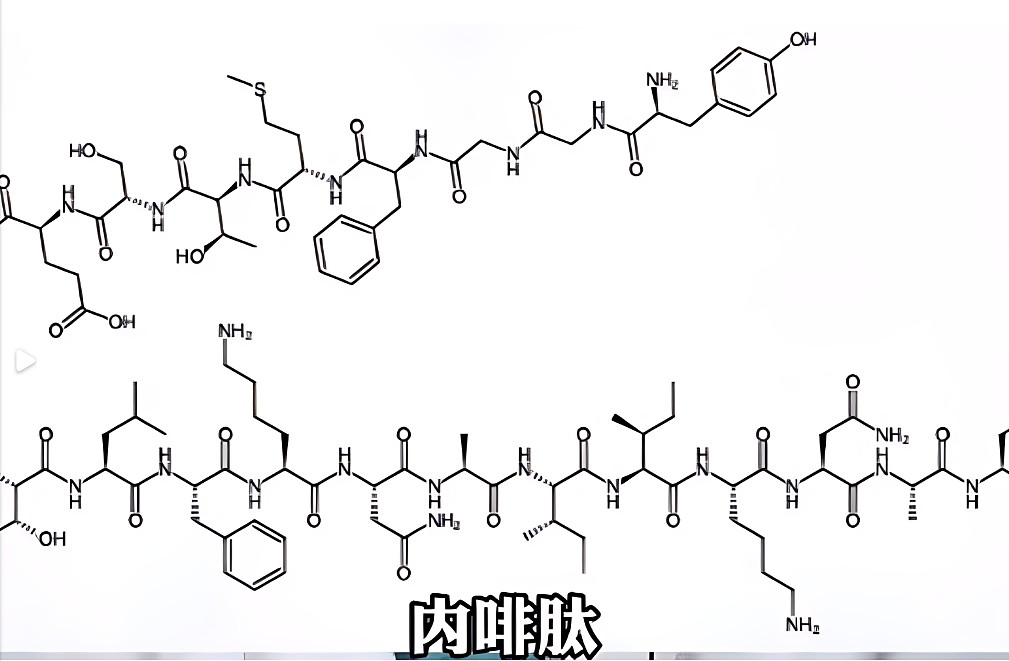 圈子里常說的多巴胺，內啡肽是什么意思?這和事后關懷有什么聯系呢？,004.jpg,字母圈軟件,字母圈app,sub,抖遇,aftercare,第3張